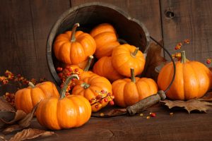 Read more about the article Herbstfest 2023 der Kita – Kürbis & Drachenfest